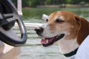 Photoblog thumbnail